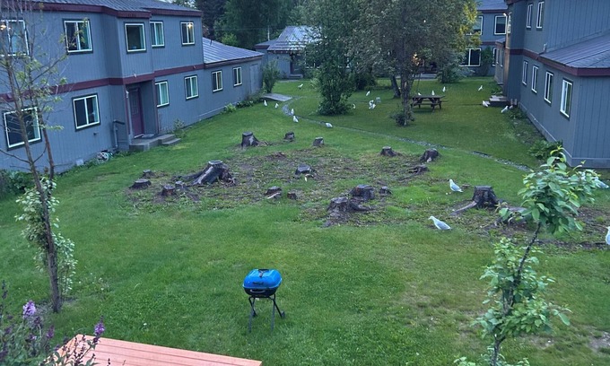 Kenai Apartment | Less than a mile from the mouth of the Kenai River!