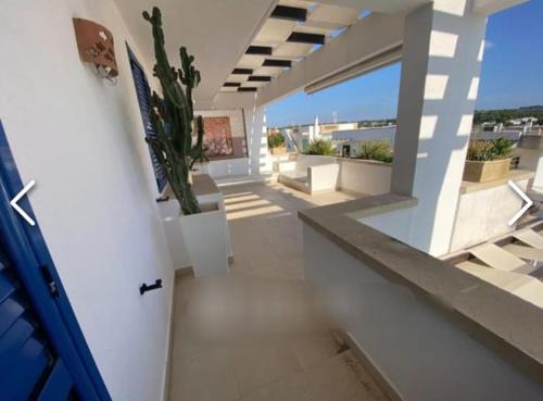 Andria Apartment | Leucasia