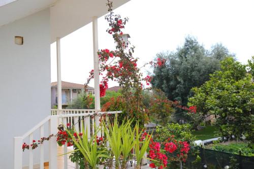 Lygia Apartment | Libertá Home