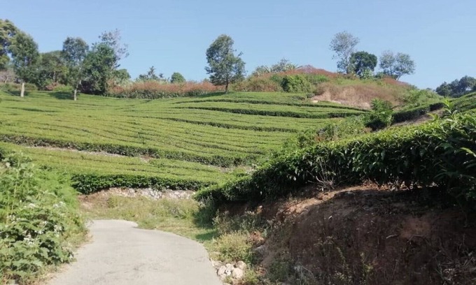 Pallivasal House | Linten Holiday Resort,Property set in Munnar.4.7km from MUNNAR Town