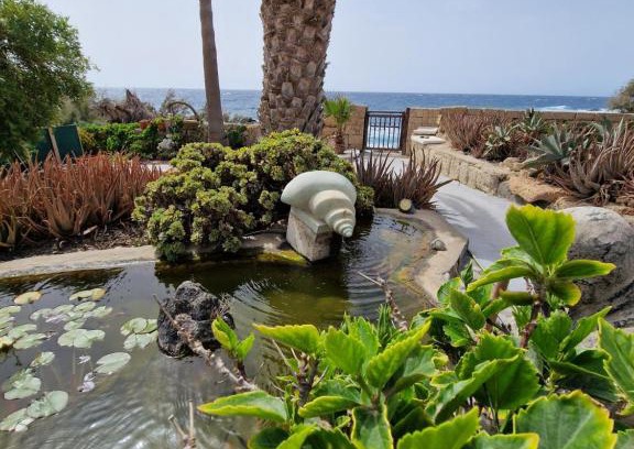 Arenas del Mar Apartment | Little Paradise in El Médano 2