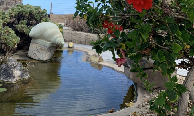 Arenas del Mar Apartment | Little Paradise in El Médano 2