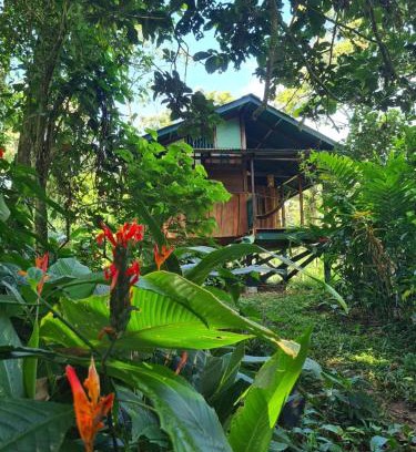 Isla Bastimentos House | Live the Jungle - Rustic Refuge