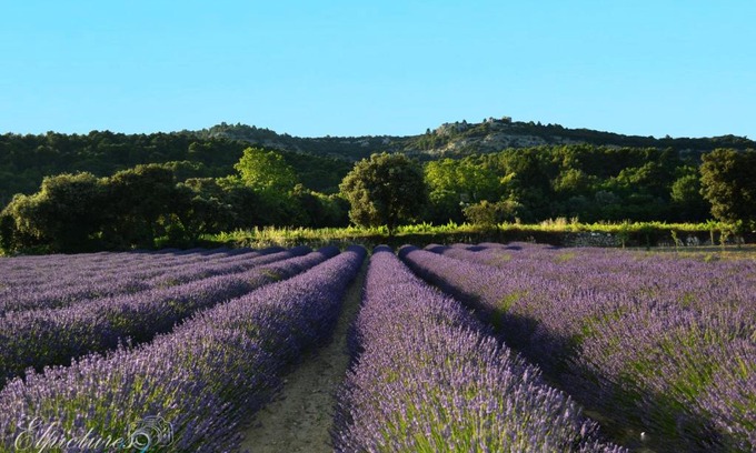 Suze-la-Rousse Bed & Breakfast | Lo Rastelié