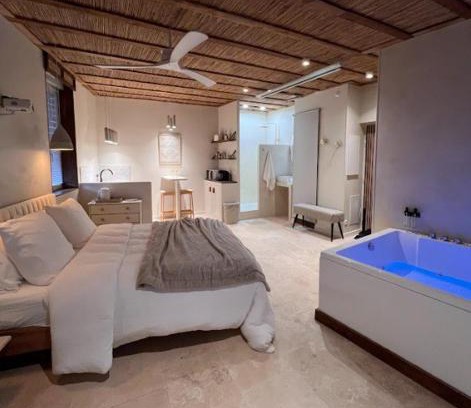 Gaillac Apartment | Loft Balneo