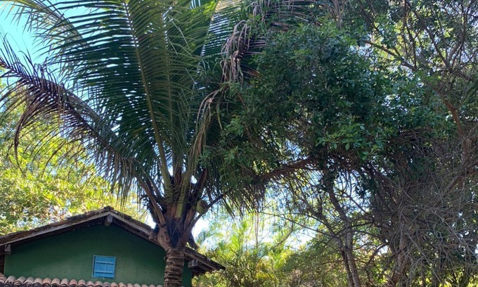 Caraiva House | Loft-house Dentro da Vila de Caraiva