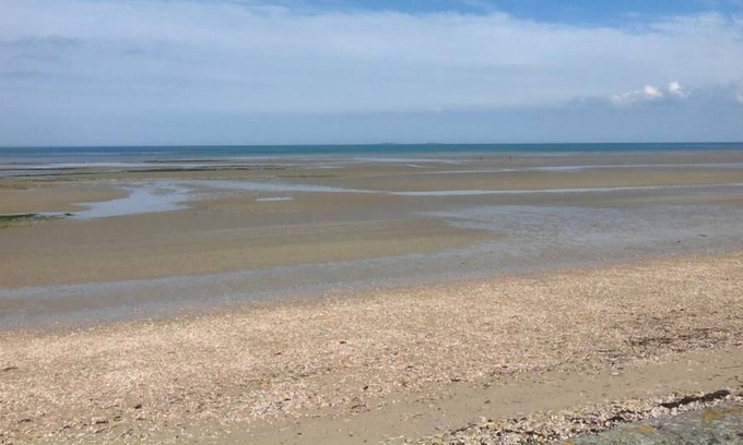 Saint-Marcouf Apartment | Loft, sea view, 40m from the beach, comfortable, on the landing beaches