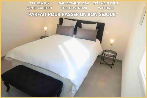 Lalande-Grand Selve Apartment | Logement Entier - Appartement T2 Confort - Toulouse - Balcon Aménagé