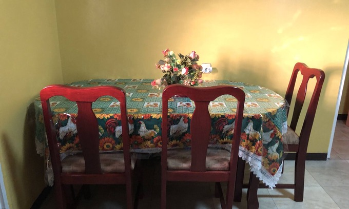 Paramaribo Apartment | Logerthine Studio Suriname