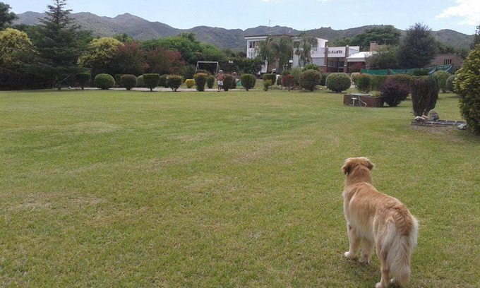 Dr. Enrique Zarate Villa | Los buhos