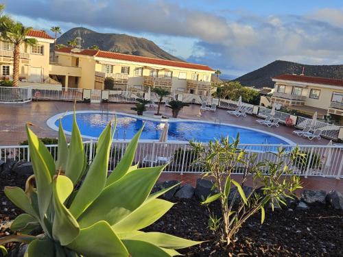Chayofa Apartment | Los Cristianos Relax Green Appartament