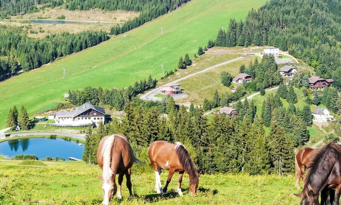 Sankt Urban Apartment | Lovely apartment for 5 guests with WIFI, balcony and panoramic view