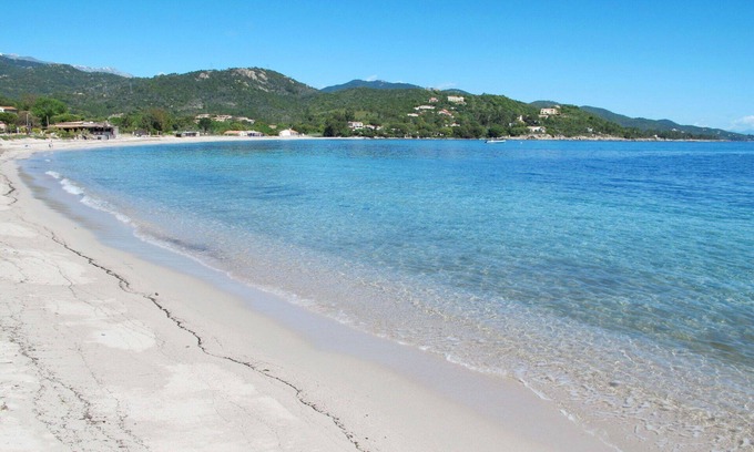 Favone Apartment | Lovely apartment for 6 guests with pool, WIFI, A/C, TV, terrace and pets allowed