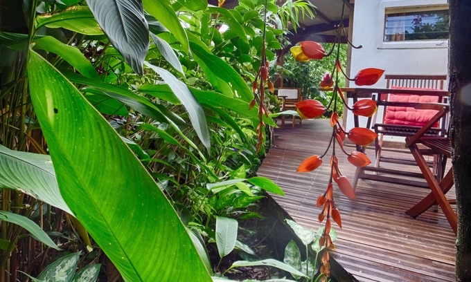 Pointe-Noire Cottage | Lover's nest in the heart of a rich tropical garden