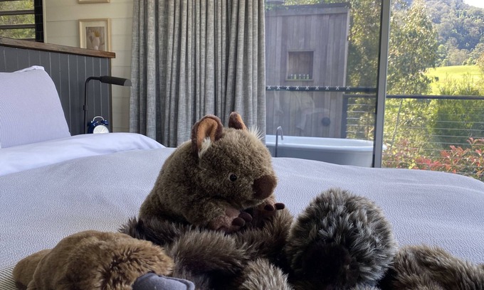 Barrengarry Cabin | Luxurious Boutique Cabins (2 King Bedrooms) and Amazing Views in Kangaroo Valley