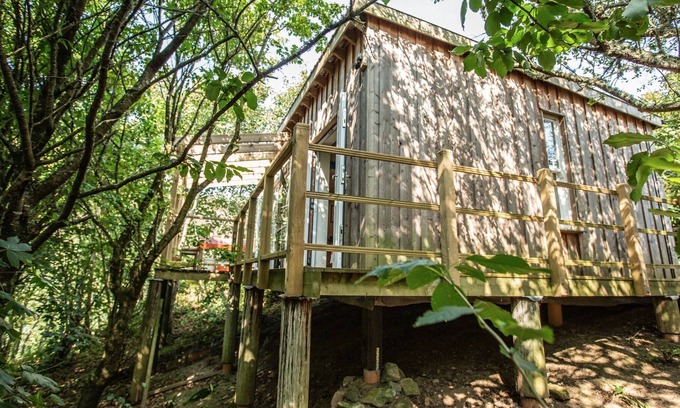 Porthtowan Cabin | Luxurious eco treetop cabin 5 mins from the beach