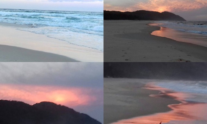 Way Way Apartment | Luxury accommodation in beautiful Scott's Head. Best of beach and bush views.