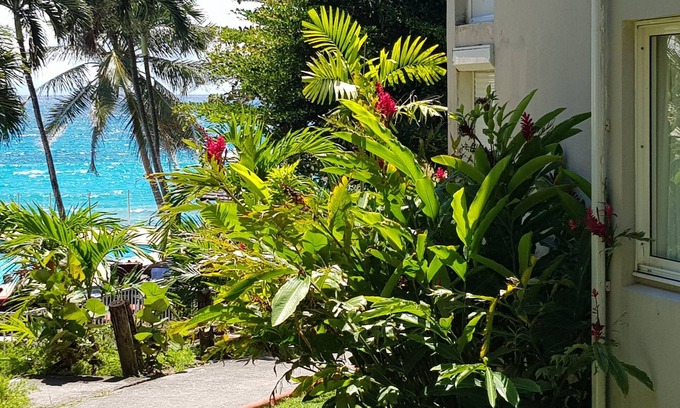 Pointe de la verdure Apartment | Luxury beach access apartment - sleeps 5