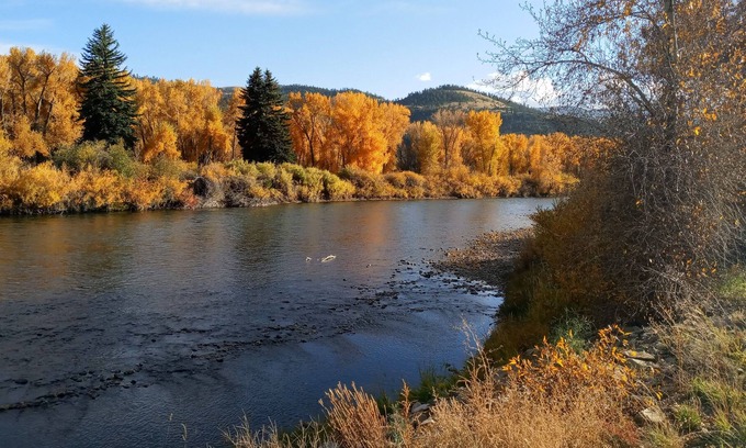 Alpine Village Cabin | Luxury Cabin on the Upper Rio Grande River