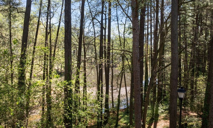 North Raleigh Condo | Luxury Condo near North Hills