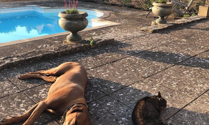 Broadway House | Luxury Cotswold House +Cottage. Sleeps 12-14. Pool, gym, gardens, parking.
