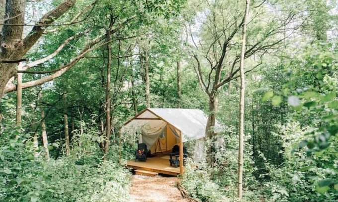 Elora Cabin | Luxury Glamping on Elora Flower Farm - Fox