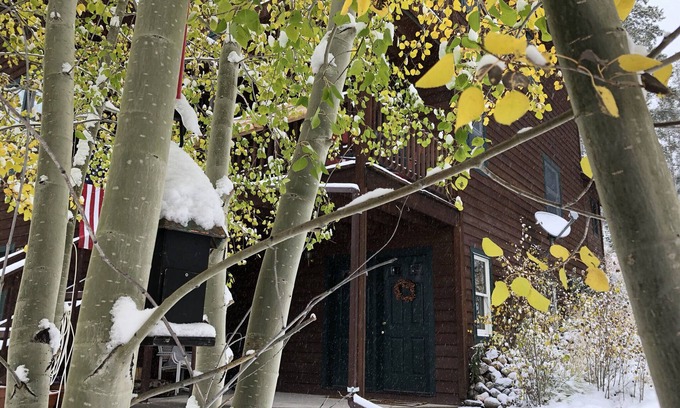 Fraser Apartment | Madge’s Studio - Pets Welcome