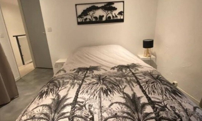 Beziers City Centre Apartment | ⭐️Magnifique Duplex in the heart of Béziers⭐️
