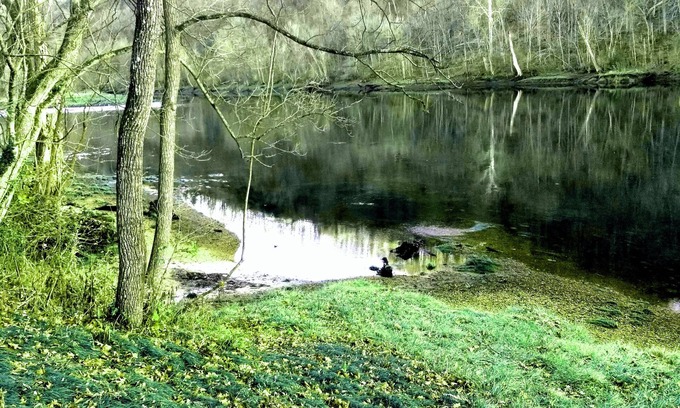 Lakeview Apartment | Magnolia #1 @ Copper Johns Resort