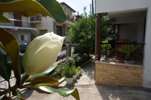 Agios Nikolaos Apartment | Magnolia