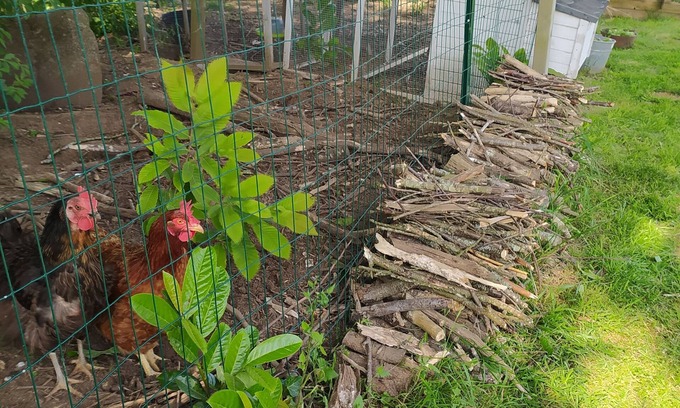 Cleguer House | Maison Avec Grand Jardin Clos, Entre Terre et Mer, au Calme, Proche de Lorient
