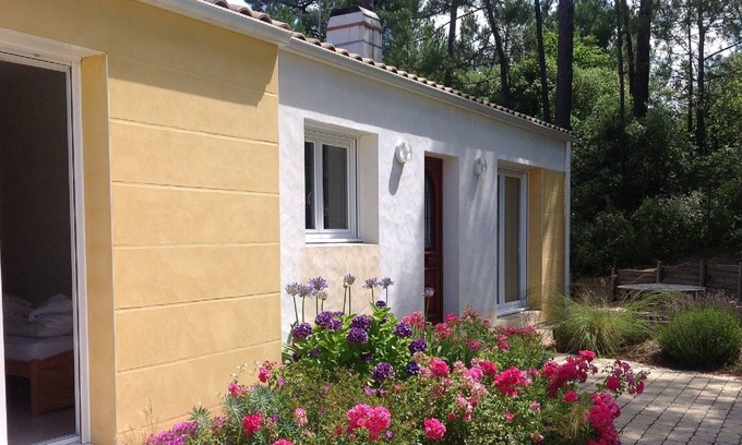 Saint-Jean-de-Monts House | Maison des Mûres, large house, sunny terrace, enclosed grounds.