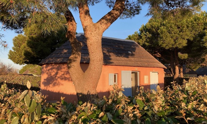 Le Barcares House | Maison Individuelle Avec Jardin, Clim et Piscine Proche de la mer
