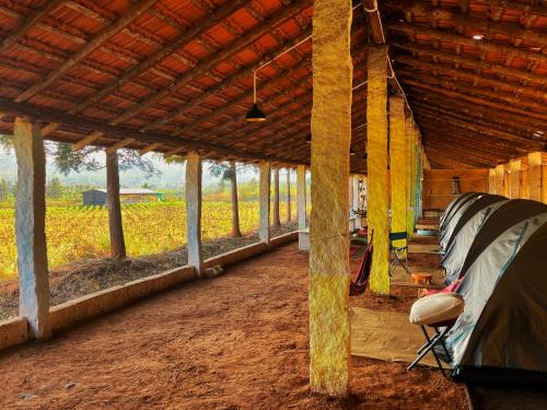 Chikkamagaluru Other | Malanad Camping Tent stay Creative Activities and Nature