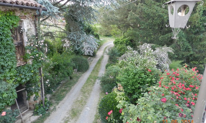 Vesime Bed & Breakfast | MAMOTA B&B, an oasis in the Langhe.