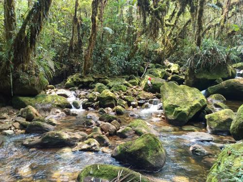 Cuispes House | Manantial de Vida