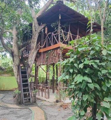 Udawalawa Apartment | Mango Tree Hut udawalawe