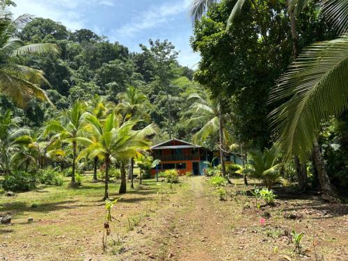 Choco Hotel | Mar y Selva