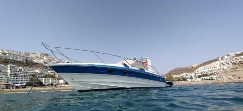 Puerto Rico Boat Rental | Mare di stelle