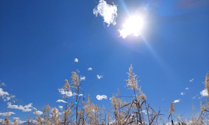 Bella Vista House | Marian