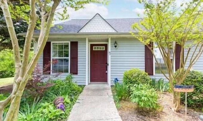 Greensboro Apartment | Maro's Paradise - Treeble ct