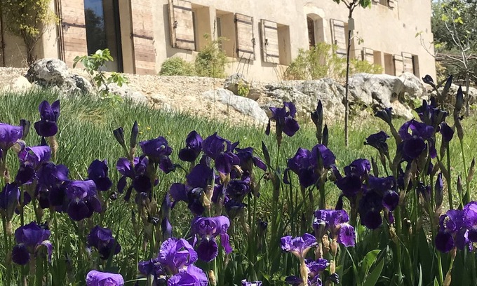 Saint-Saturnin-les-Apt Other | Mas in Provence with exceptional views of the Luberon