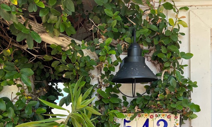 Connors Cottage | Meg’s Beach Cottage- Walk or Bike to Beach