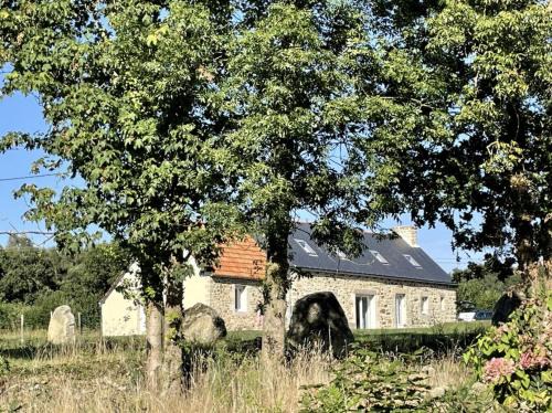 Plouec-du-Trieux Apartment | Menhirs et Moutons Ouessant