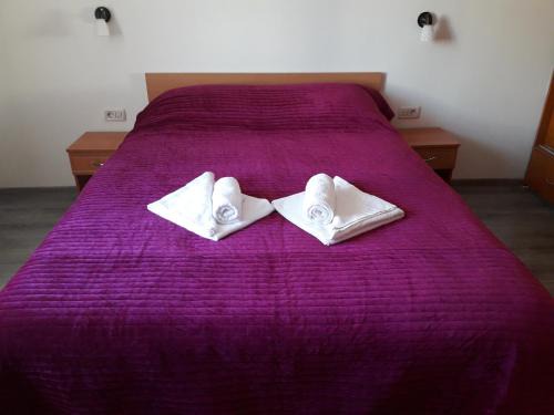Campulung Moldovenesc Apartment | Microapartament Campulung Moldovenesc