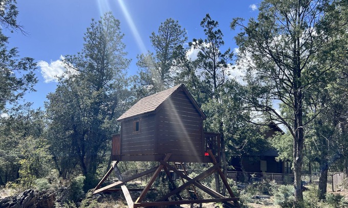 Whispering Pines Cabin | Miles of National Forest in Backyard - Cozy Cabin in Seclusion
