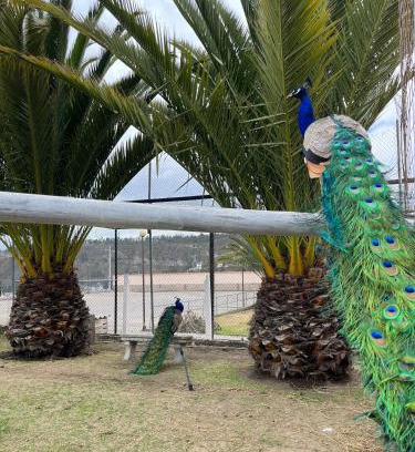 Chimborazo Province Resort | Minkana Hotel