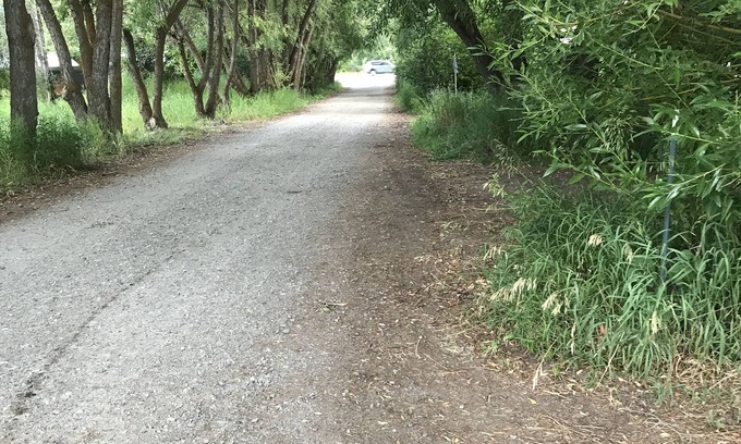 Moose Wilson Road Apartment | Minutes to the entrance to Grand Teton Nat. park.