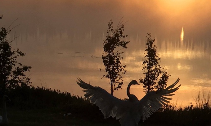 Meadow Lakes House | Misty Lake Carriage House