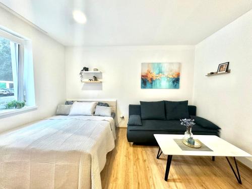 Liberec Apartment | MlynApart Liberec